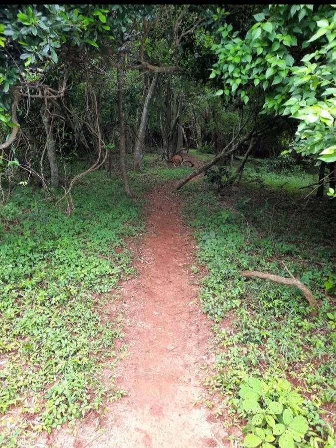 No 2 Heleza Blvd Sibaya, Ocean Deuns, Umhlanga Durban Leilighet Umdloti Eksteriør bilde